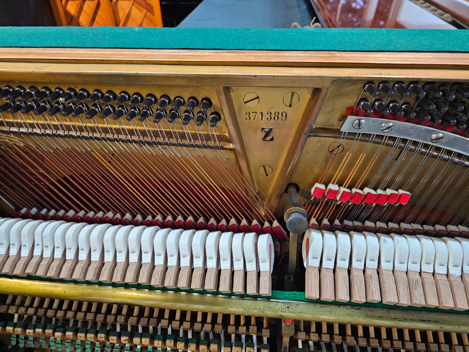 Jasa Regulation Piano